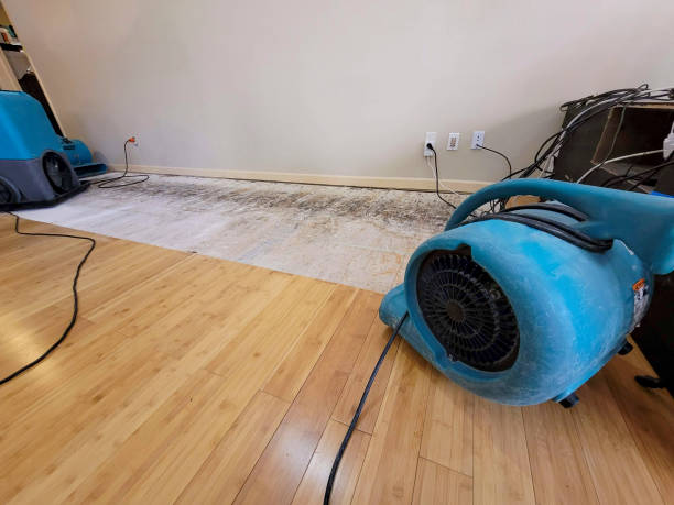 Professional Water Damage Repair technician working in Campbell, CA